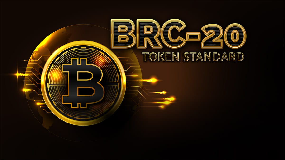 BRC20 Token