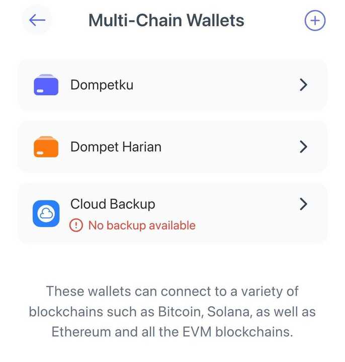Costum Wallet- Cara Menyimpan Crypto