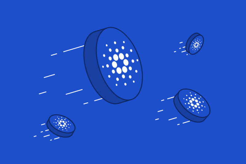 Cara Beli Cardano