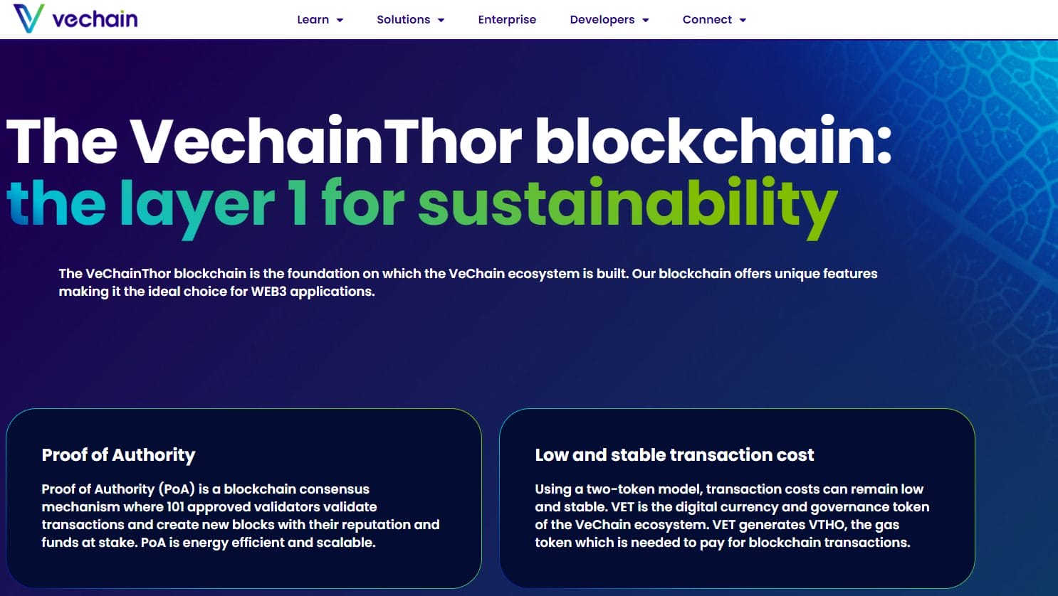 Vechain - dividend crypto