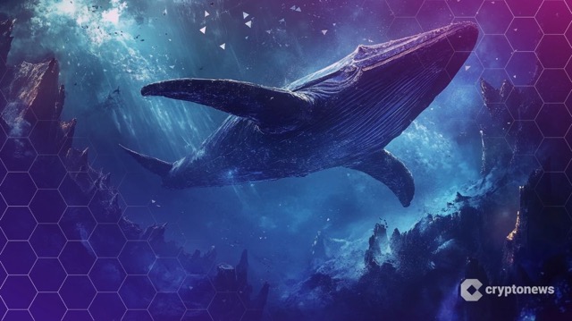 6 Aset yang Diborong Crypto Whales untuk Potensi Kenaikan pada Desember 2025 Medium
