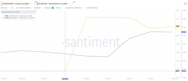 Akumulasi Whales yang Terkoordinasi