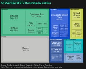overview-of-btc-ownership-by-entities
