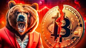 Bitcoin Prognose: Entscheidende Phase im Bärenmarkt