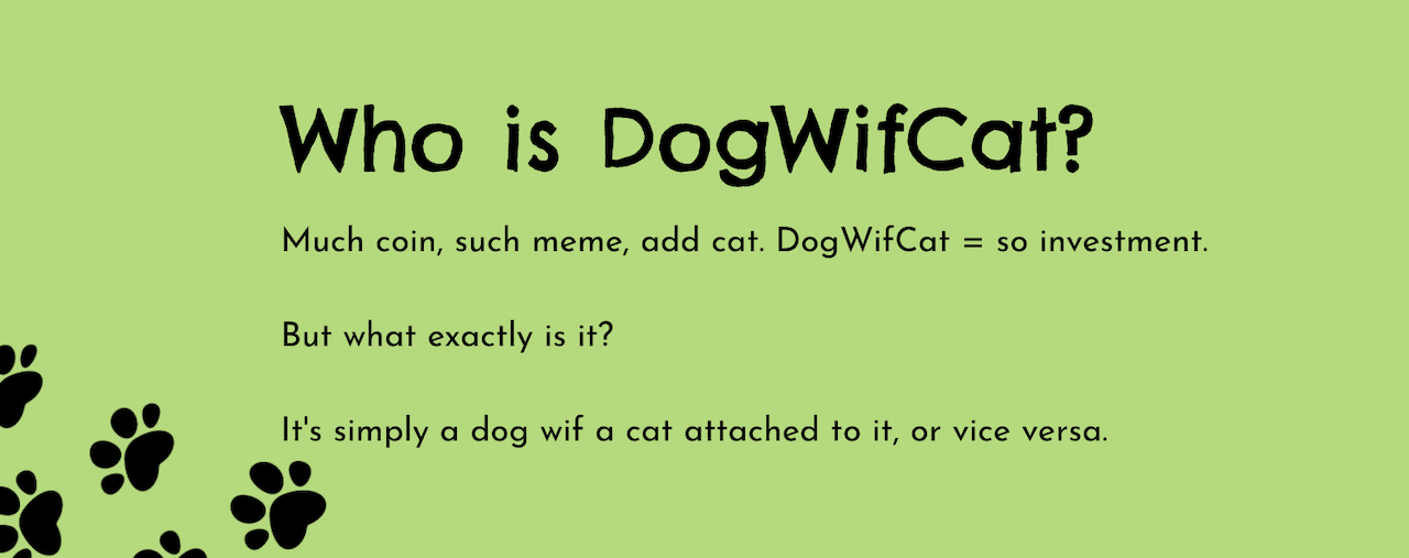 Who-is-dogwifcat
