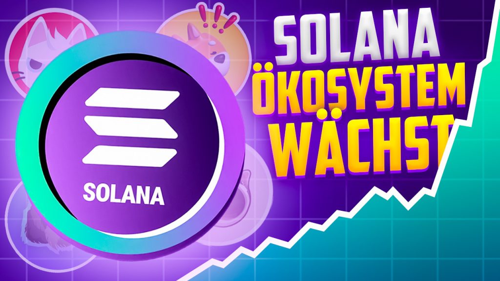 Solana Oekonomie