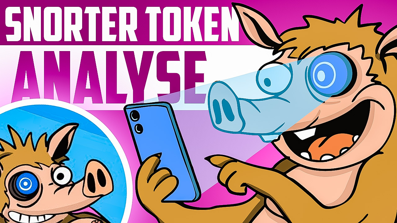 Snorter Analyse