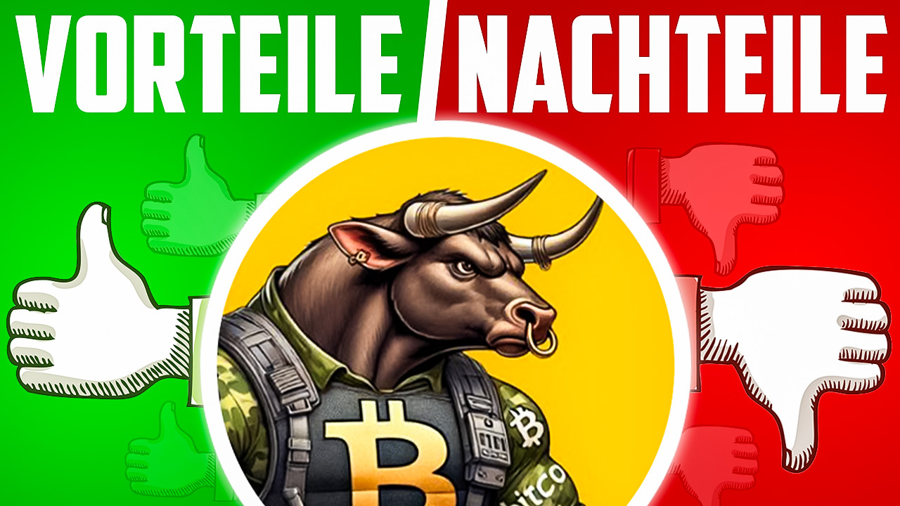 BTC bull vorteile nachteile