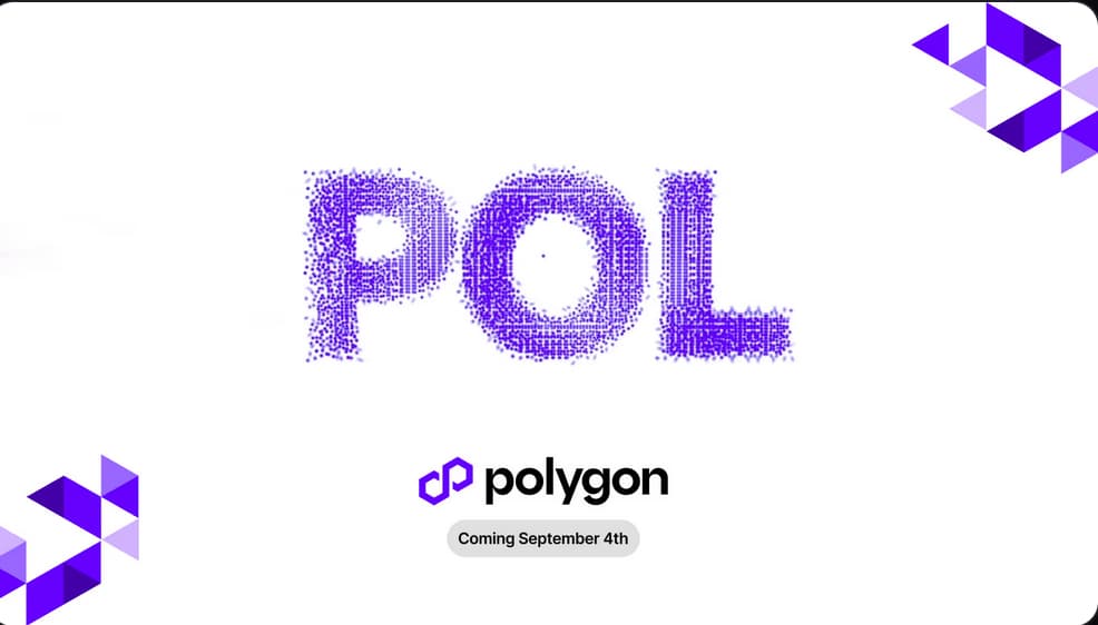 Polygon Netzwerk