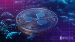 XRP Kurs Prognose: Ist es endgültig vorbei?