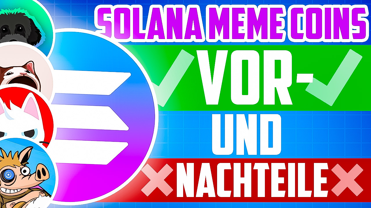 Solana Meme Coins Vor-und Nachteile