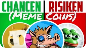 Chancen Risiken Meme Coins