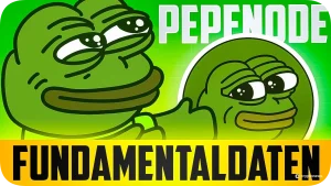 Pepenode Fundamentaldaten