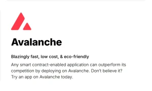 Avalanche Homepage