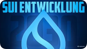 Sui Entwicklung