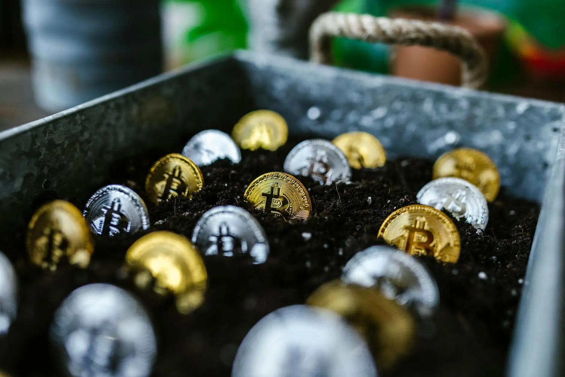 A mix of gold, silver, and bronze Bitcoin replicas buried in soil within a metal tray.