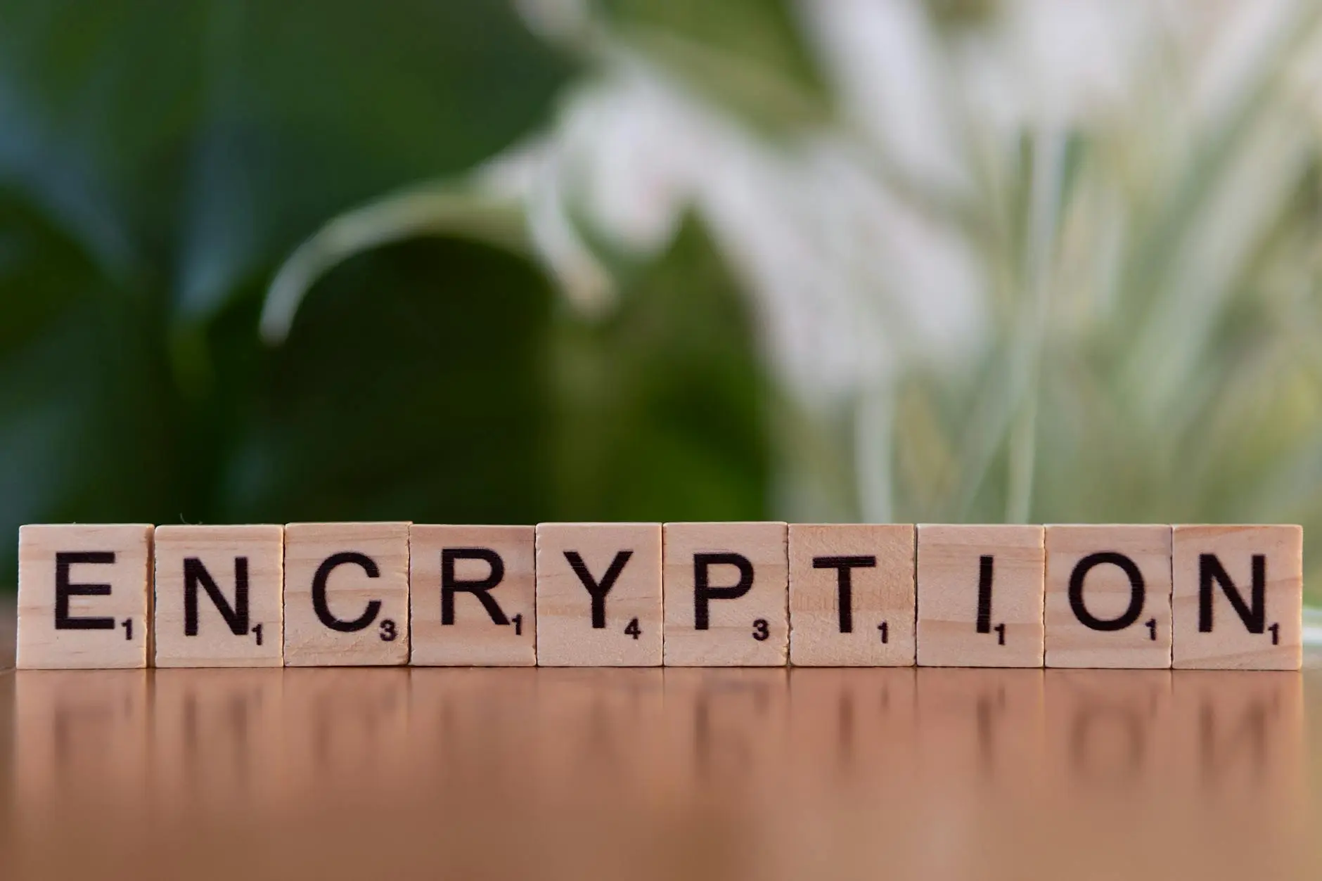 Wooden blocks spelling 'ENCRYPTION' on a blurred green background.