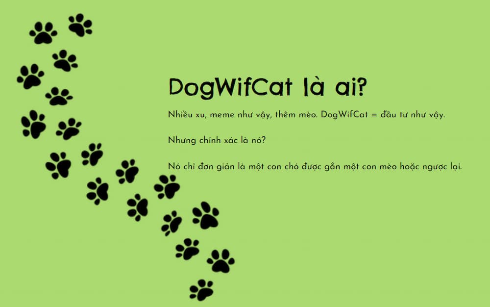 DogWifCat là gì