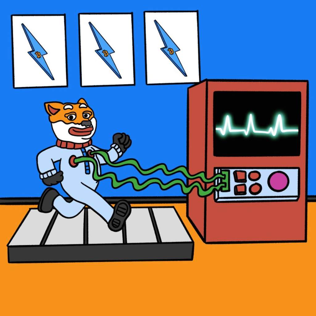 Các trường hợp sử dụng thực tế của Bitcoin Hyper