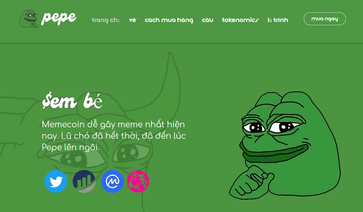 Pepe (PEPE) – Meme coin 