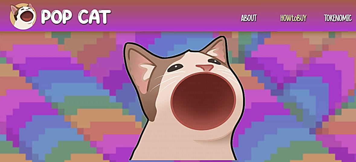 เหรียญ Popcat คืออะไร? มาทำความรู้จักเหรียญมีมดาวรุ่งบน Solana กัน!