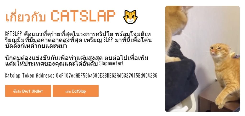 Popcat ร่วง! CatSlap ขึ้นแท่นชิงตำแหน่ง “เหรียญมีมแมว” มาแรงตัวใหม่!