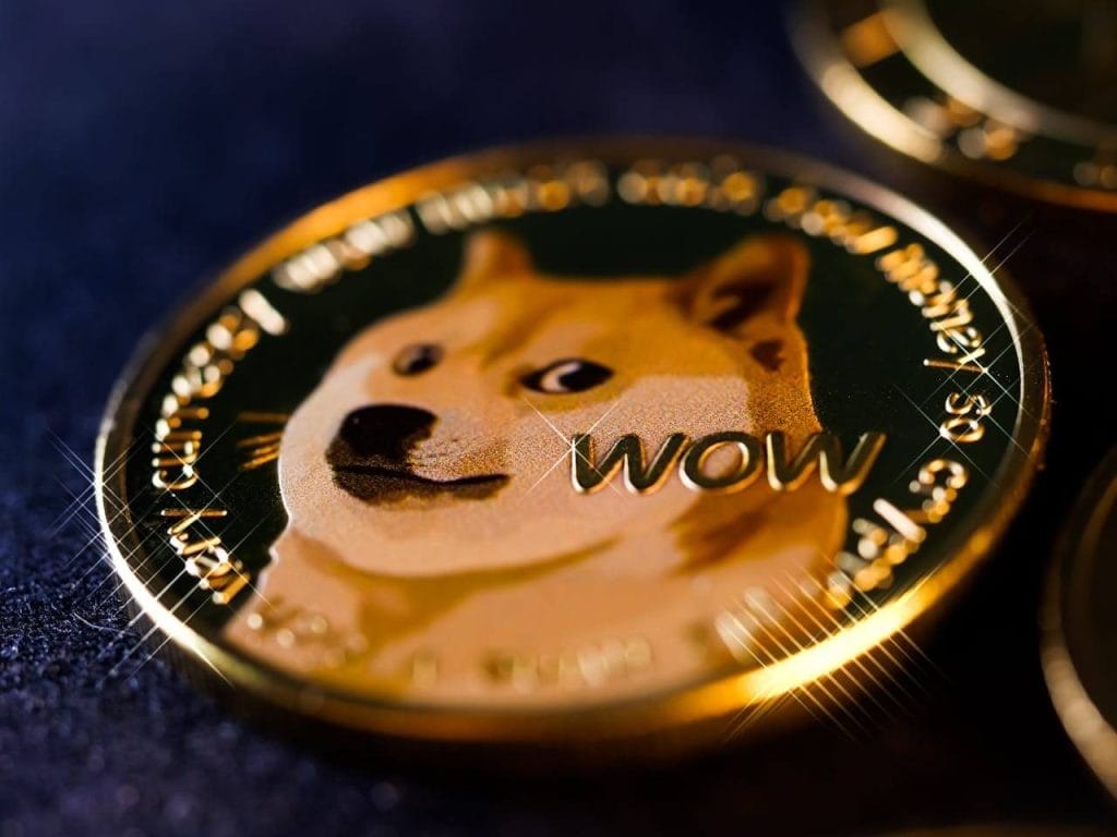 Dogecoin จ่อร่วง 50% แต่ผู้เชี่ยวชาญเชื่อราคาพุ่ง 10 เท่าในระยะยาว