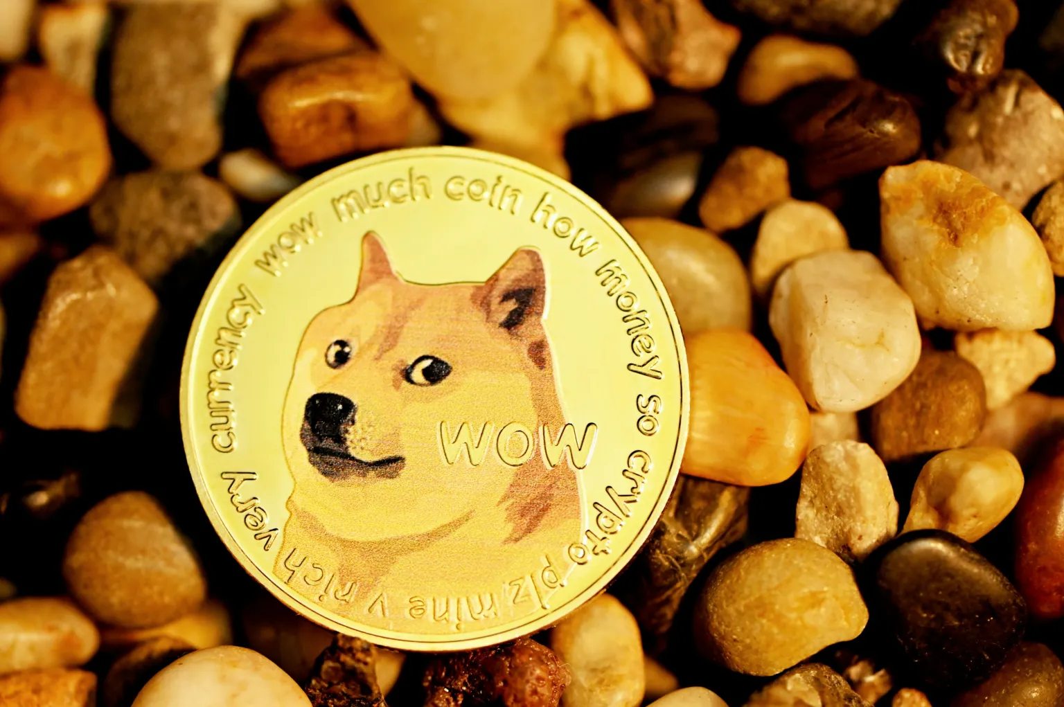 ราคา Dogecoin (DOGE) อาจพุ่งสูงภายใน bull cycle นี้ แม้ราคาจะร่วงลงชั่วคราว
