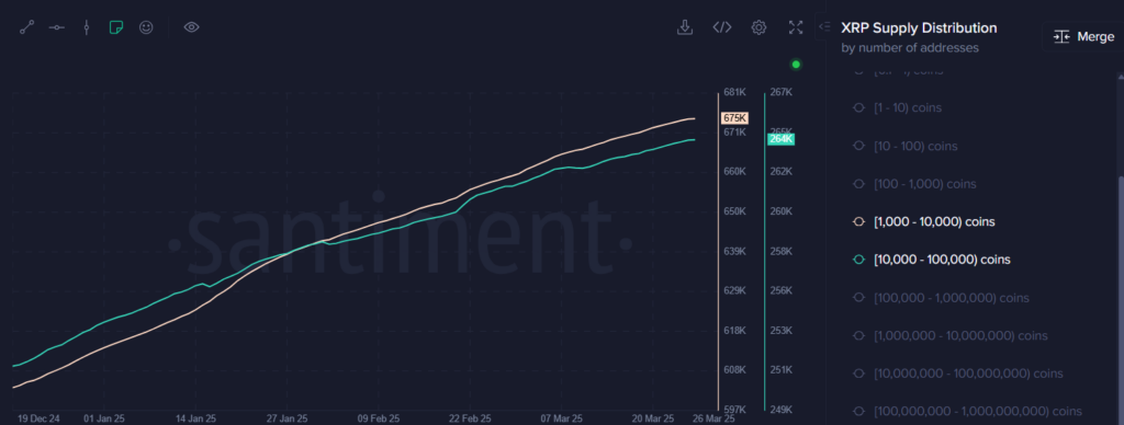 วิเคราะห์ XRP! โอกาสทองของนักลงทุน ในปี 2025?