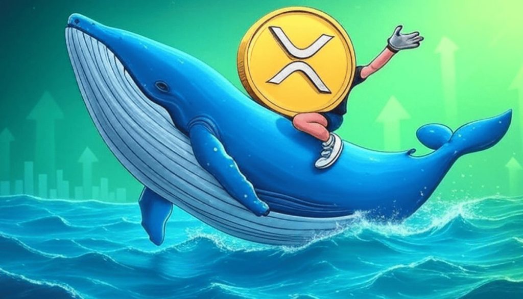 วาฬ XRP เริ่มโยก! เล็งลงทุน Solaxy ขณะพรีเซลมีแรงตอบรับต่อเนื่อง