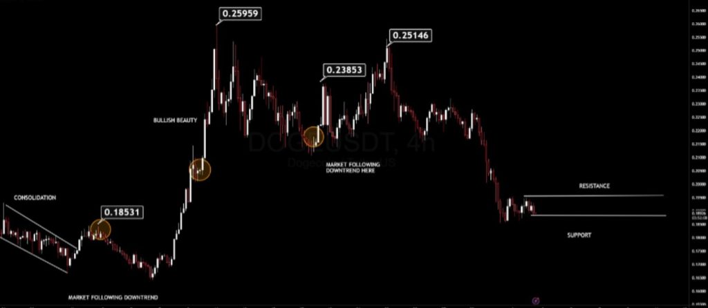 Dogecoin เตรียมเด้ง นักวิเคราะห์แนะราคาเข้าซื้อและเป้าราคาช่วงนี้ 1