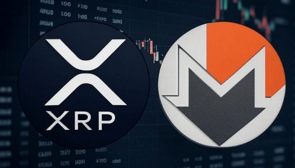 XRP–Monero วิ่งนำ! กลางปีนี้ Altcoin Season อาจกลับมาอีกครั้ง