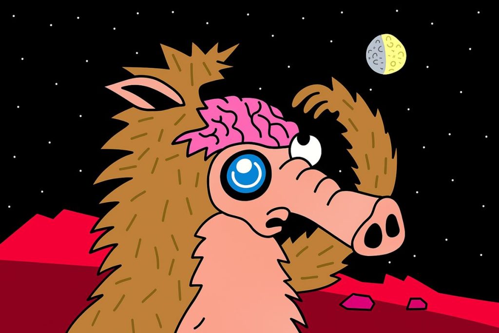 Bitcoin ATH กระตุ้น Meme Coins ดัน Snorter Bot กระแสพุ่ง