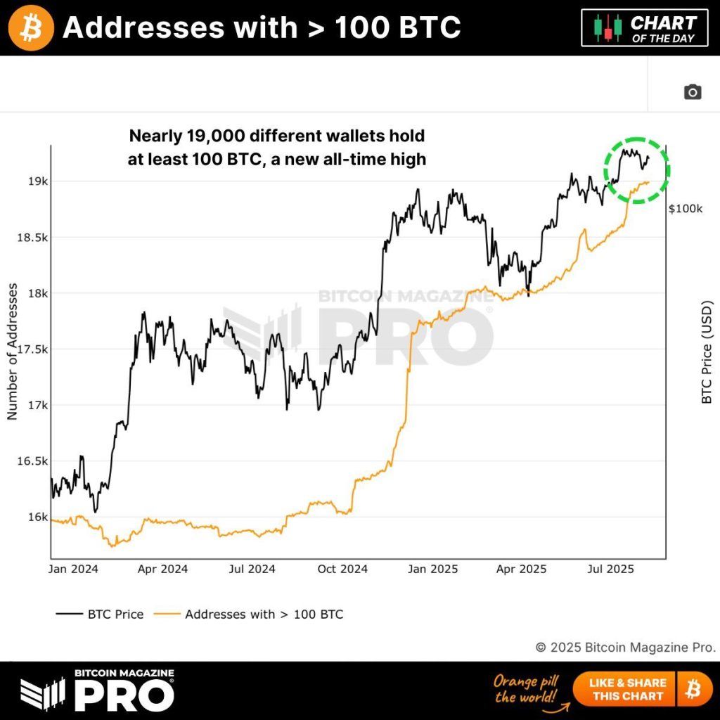 ที่อยู่ wallet ที่ถือ Bitcoin มากกว่า 100 BTC