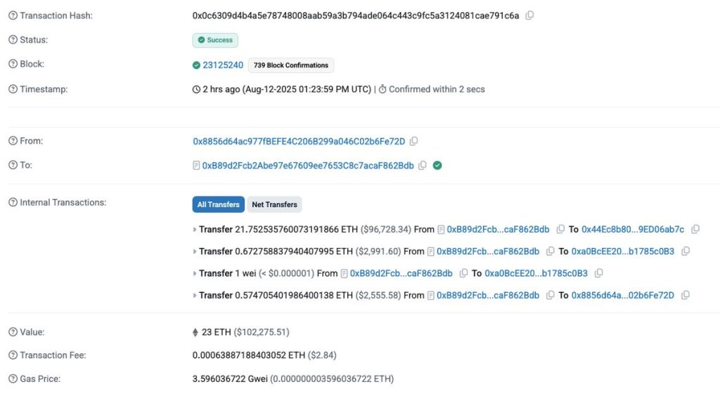 วาฬแห่ตุน 100000 Token6900