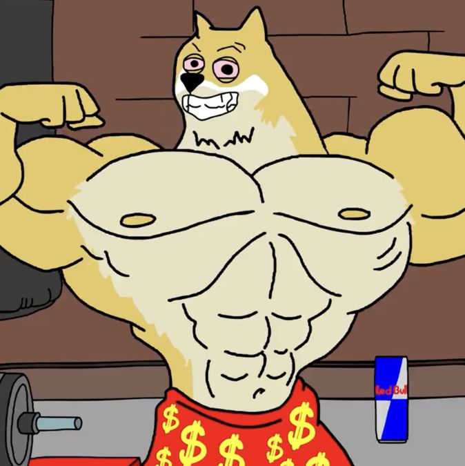 Maxi Doge เตรียมโค่น Dogecoin