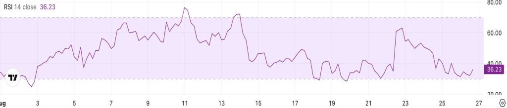 RSI ของ BTC ที่มา: CryptoWaves