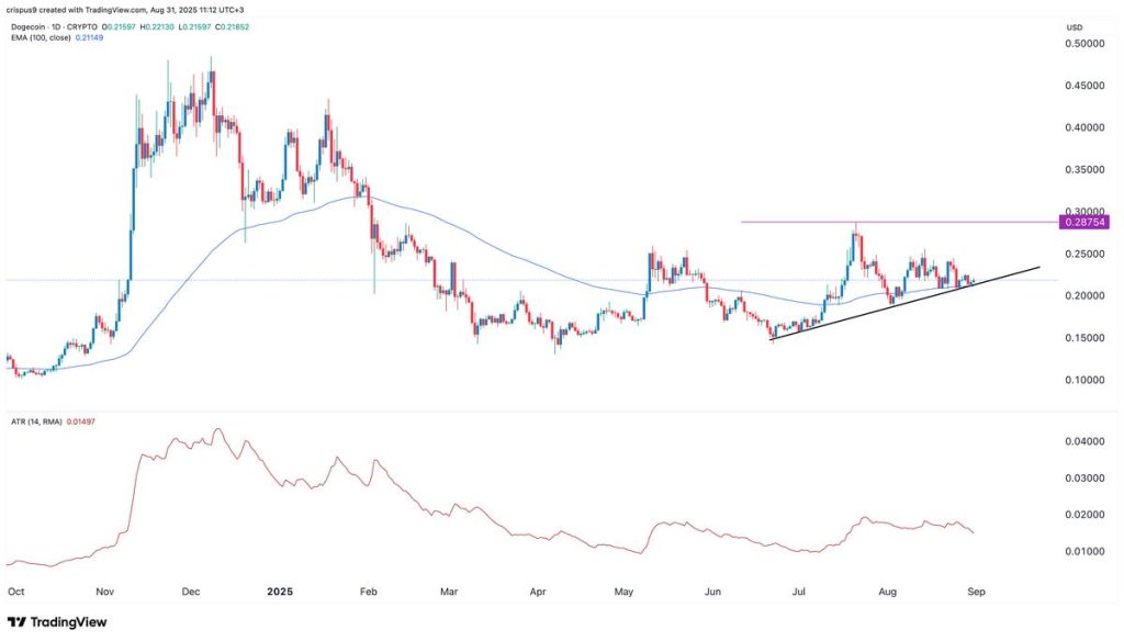 ลุ้นข่าวดี! Dogecoin จ่อทะยาน 30% รับกระแสอนุมัติ Spot ETF เดือนตุลาคม