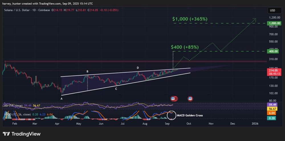 กราฟ SOL / USD รายวันที่กำลังผลักดันรูปแบบ Rising Wedge ไปสู่การเบรกเอาต์