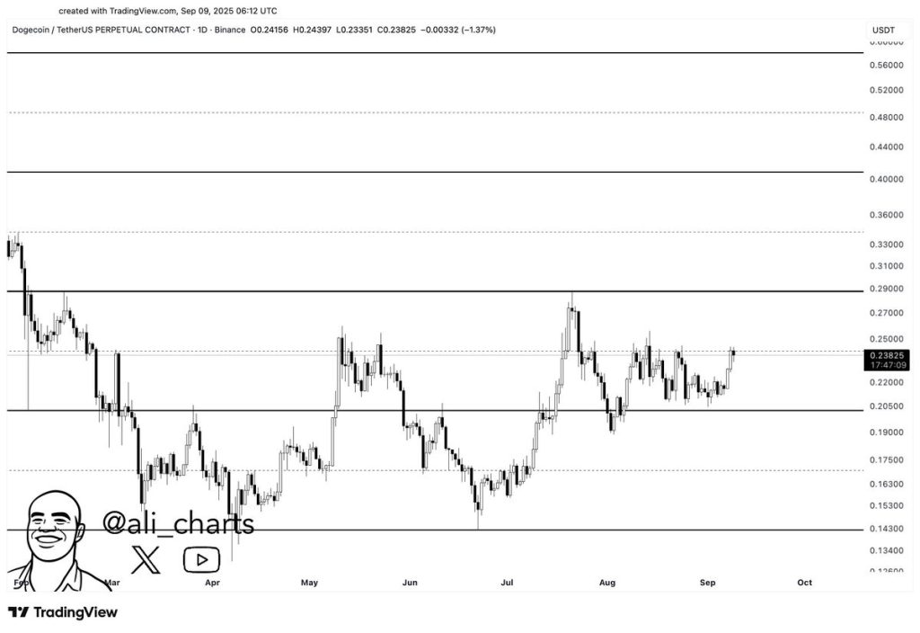 Dogecoin ราคา