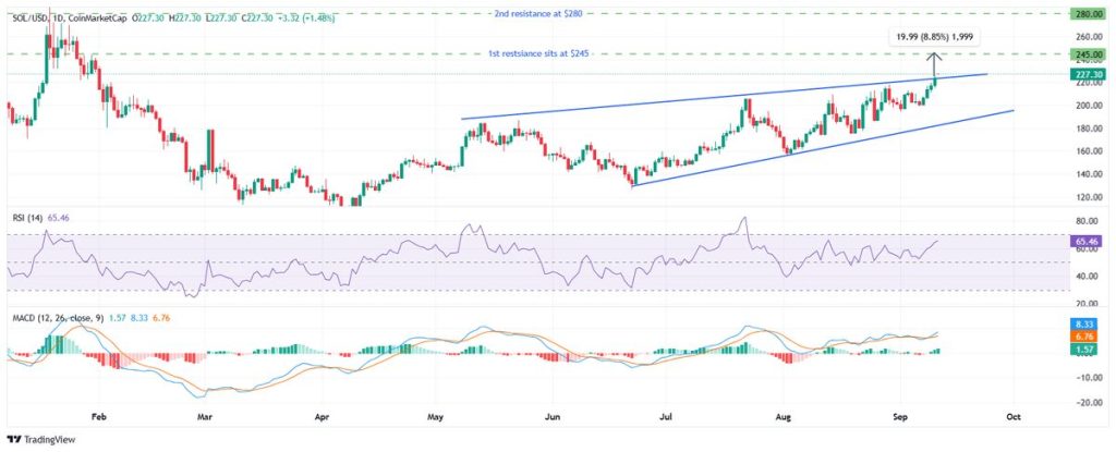 Solana วิเคราะห์ราคา