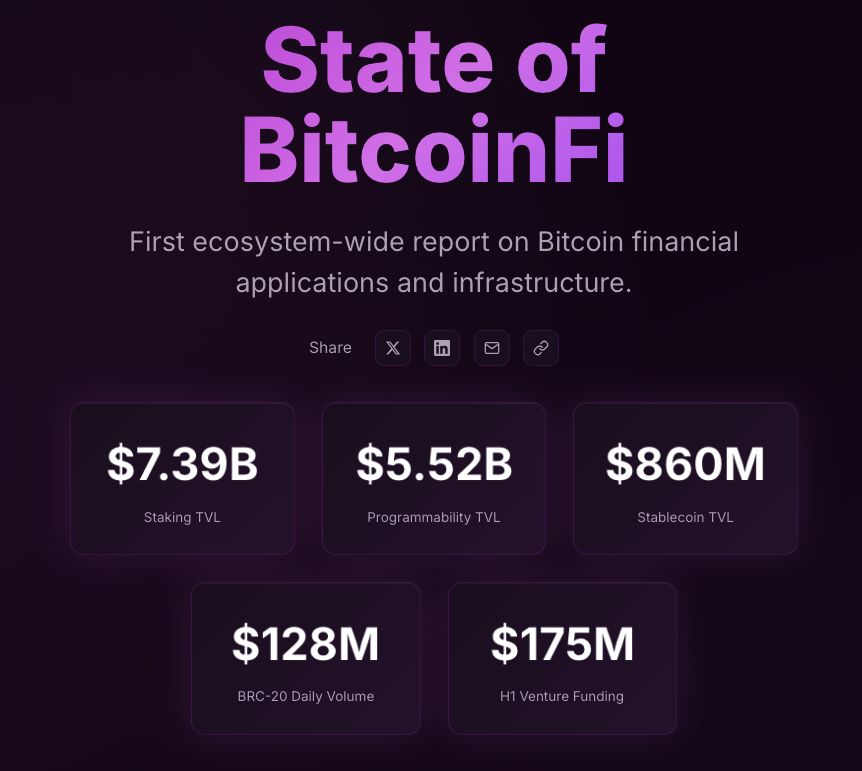 BitcoinFi Gomaestro.org