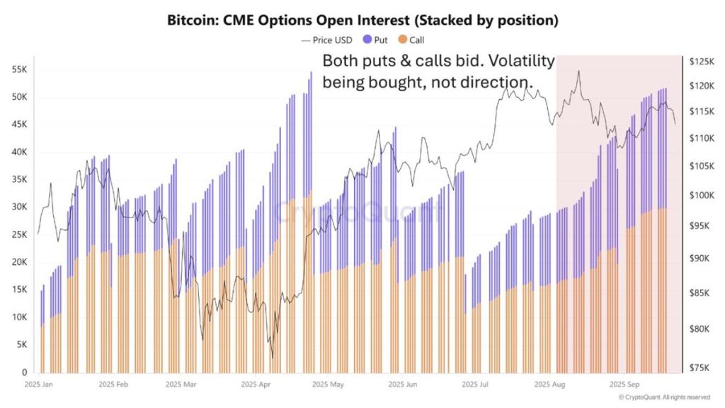 CME Options Open Interest