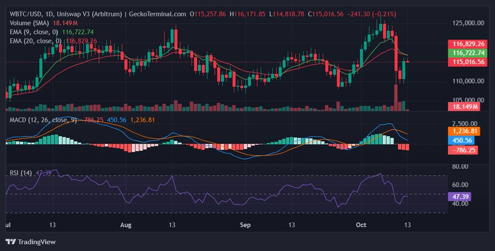 กราฟราคา Bitcoin รายวัน แสดงแนวรับและสัญญาณฟื้นตัว