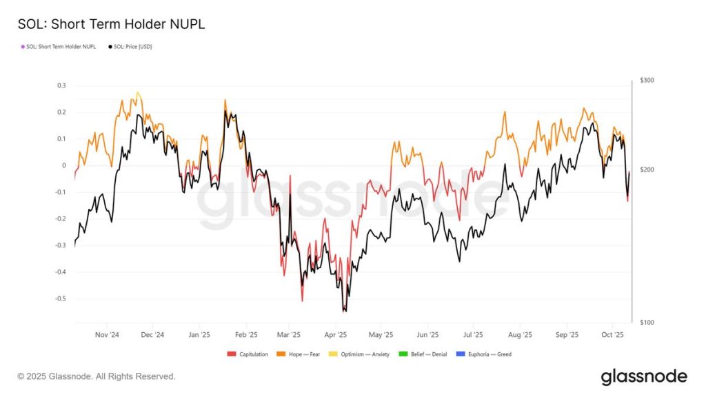 ตัวชี้วัด Short-Term Holder NUPL ของ Glassnode