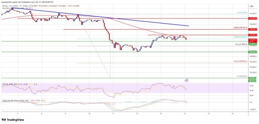 กราฟราคา Bitcoin (BTCUSD) บน TradingView 14-10-2025