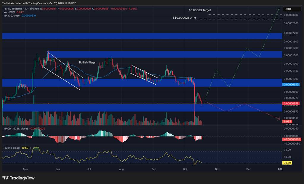 กราฟคาดการณ์ราคา Pepe เป้าหมาย 0.00003 ดอลลาร์ ปี 2025