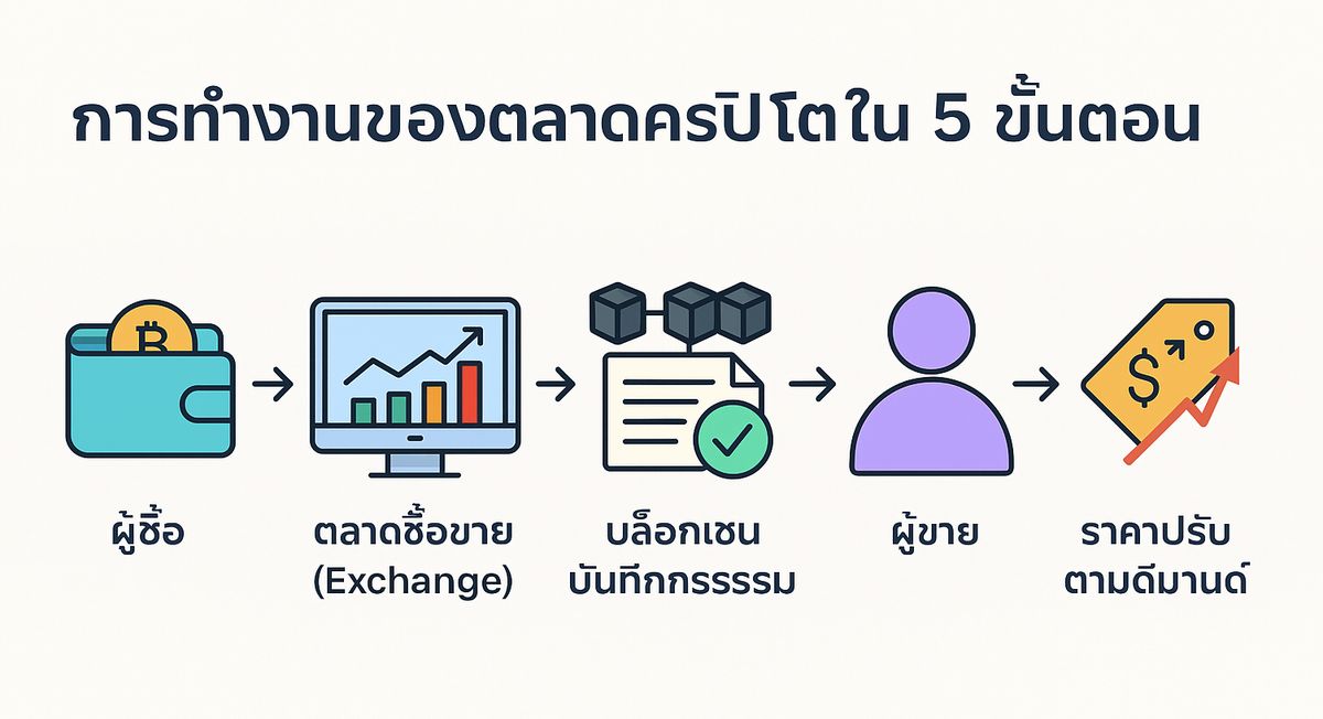การทำงานของตลาดคริปโตใน 5 ขั้นตอนที่สำคัญ 29-10-2025