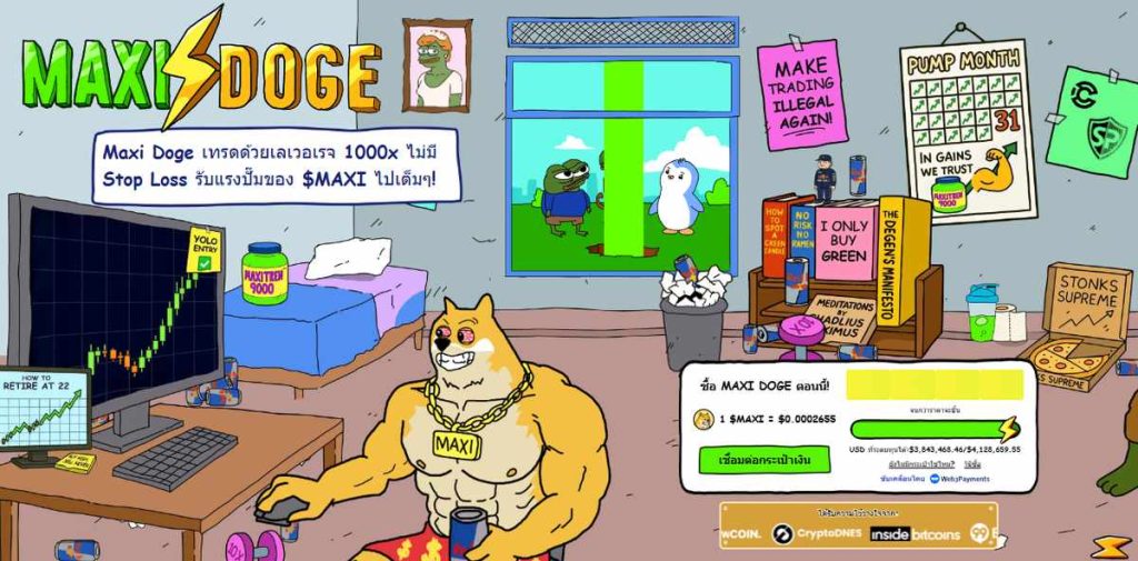 แม็กซี่โดจ์ สุนัขที่น่ารักและมีเสน่ห์ 31-10-2025