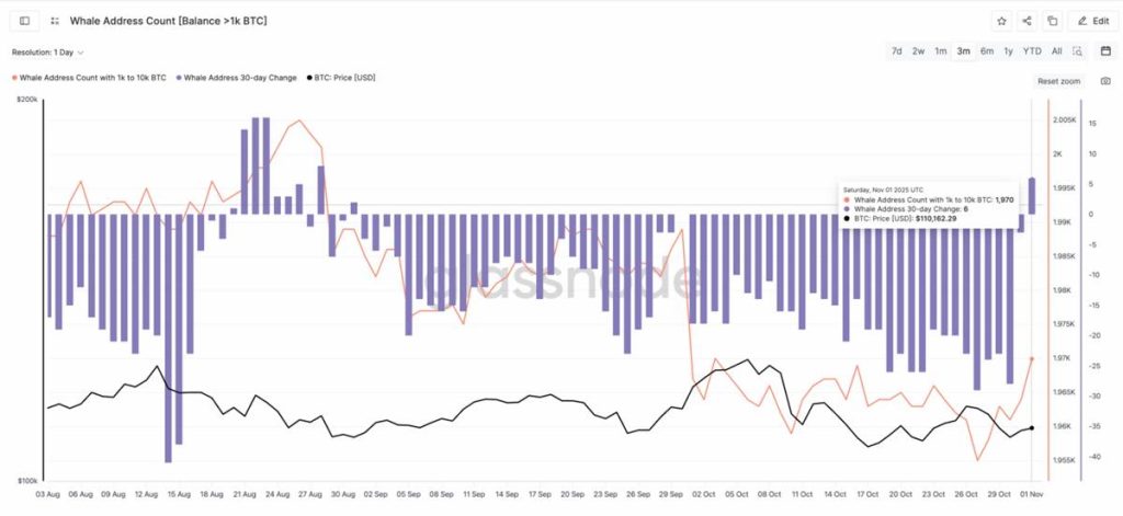 กราฟจำนวนกระเป๋าวาฬ Bitcoin เทียบกับราคา BTC